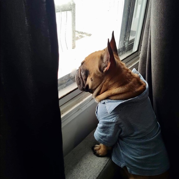 Meet your Posher, Jordan - Picture 1 of 1